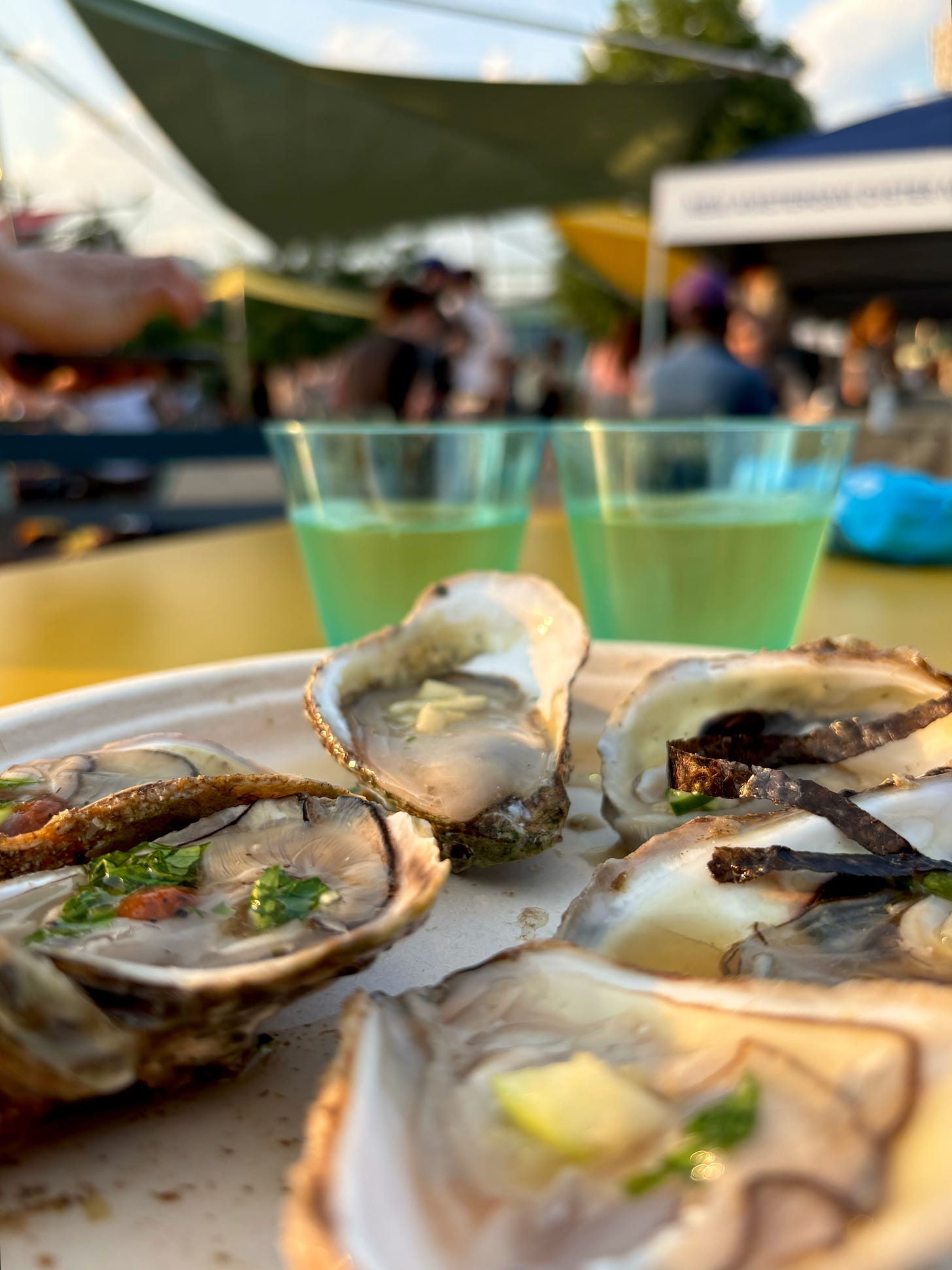 Oysters on a half-shell on a paper plate on a yellow table. There are two green-tinted plastic cups of white wine behind the plate, slightly out of focus. Some of the oysters are topped with strips of seaweed, some with apple, and some with a classic vinegar. Even though I wouldn't say oysters are a food that photographs fabulously and I have no skill at food photography, they look incredible.