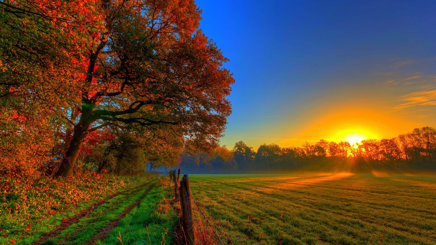 Download Sky Field Fall Nature Sunset 4k Ultra HD Wallpaper