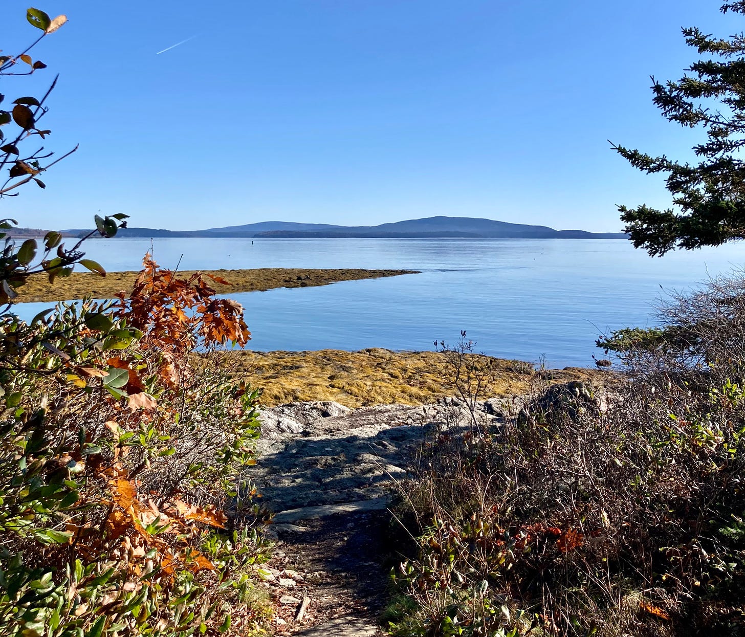 A hiking path through shrubs in downeast Maine. There is a view of the ocean and mountains in the distance across the water. 