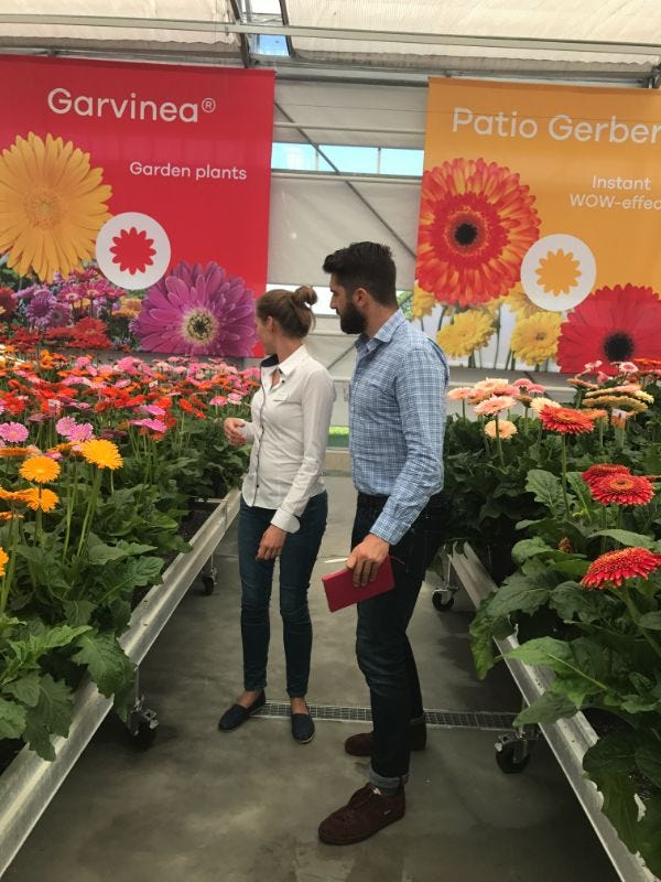 Flower trials