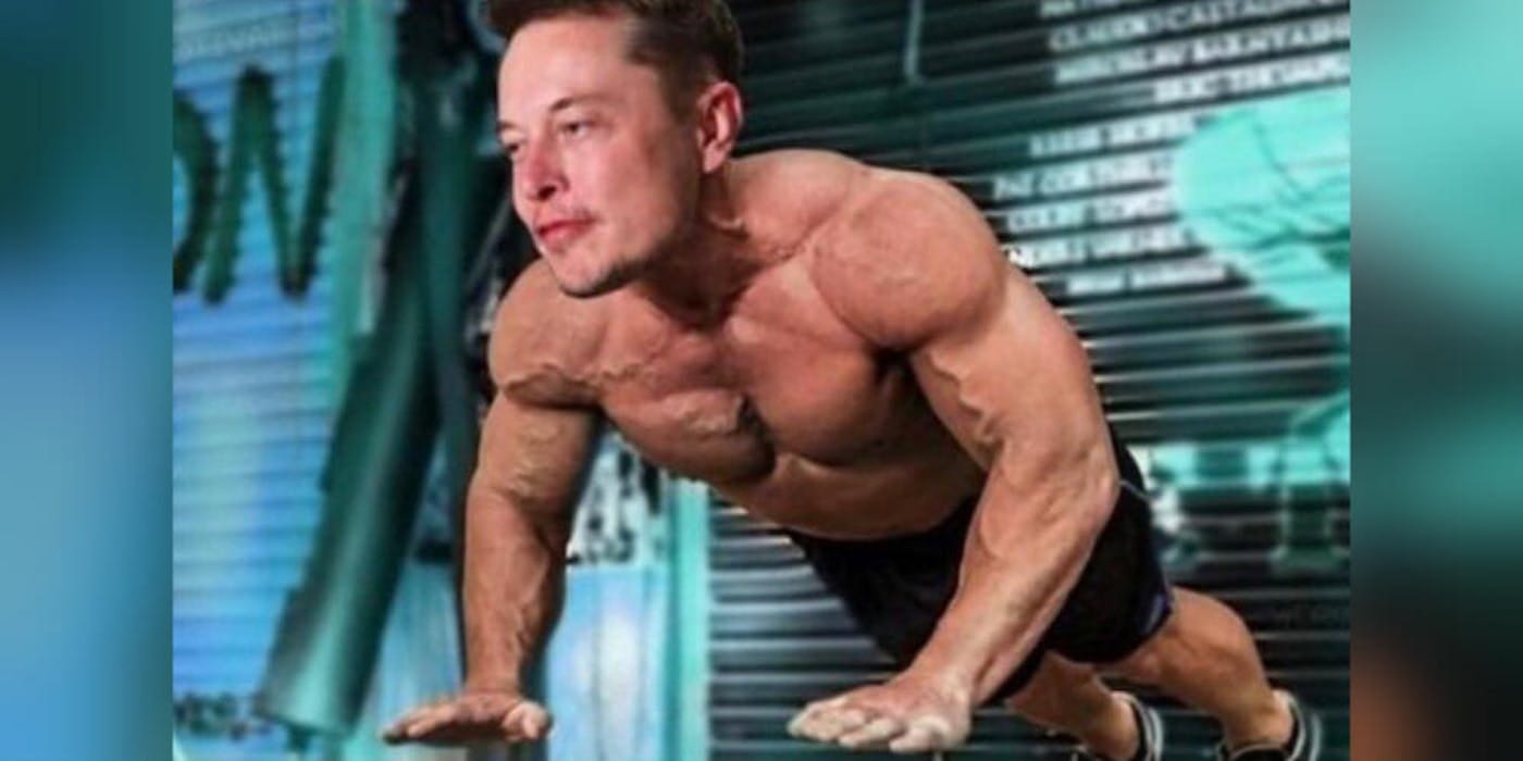 Elon Musk Embraces His New Status As Memelord