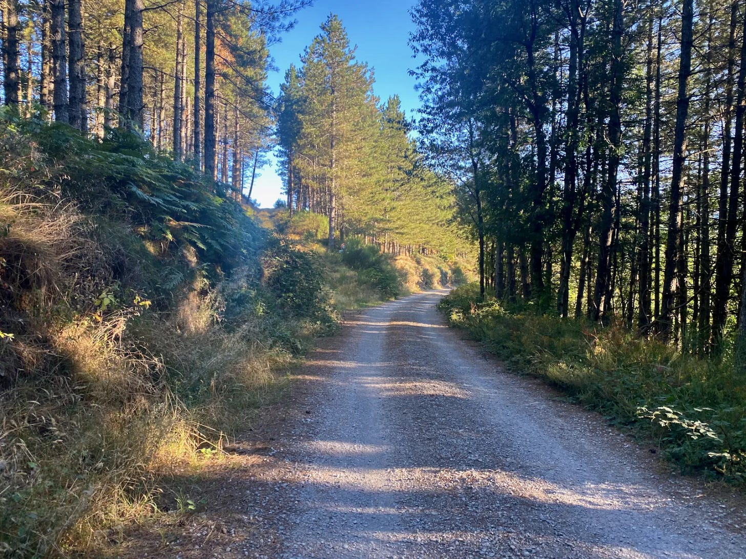 Vers l’Aigual Vers l’Aigual
