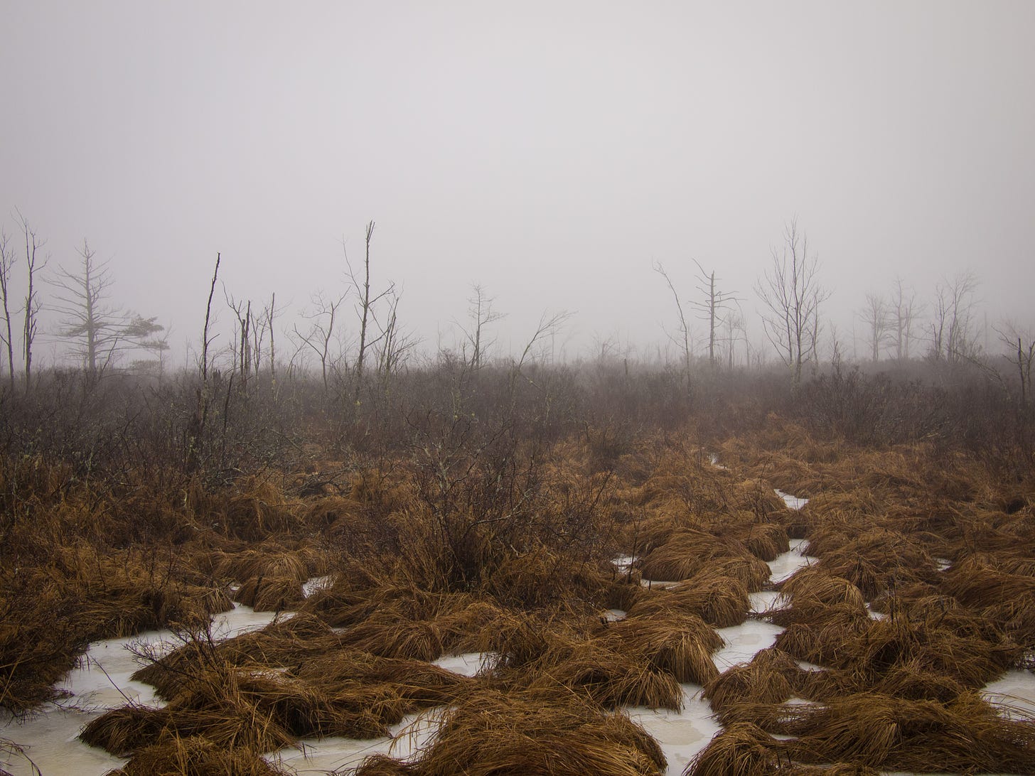 Tophet Swamp