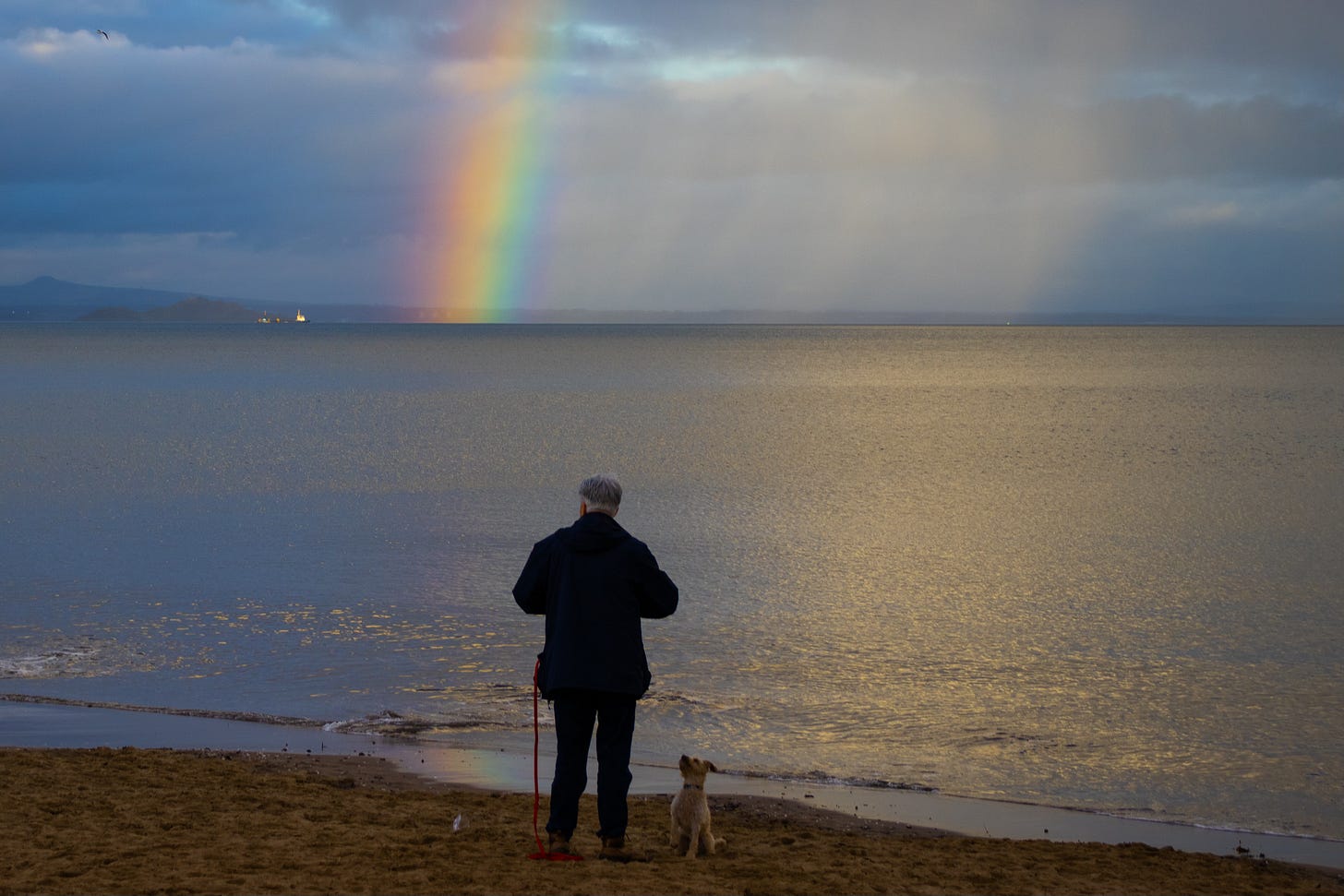 An older man stands on Portobello Beach, looking over the water at a prominent rainbow. His small dog sits on the sand, looking up at him.