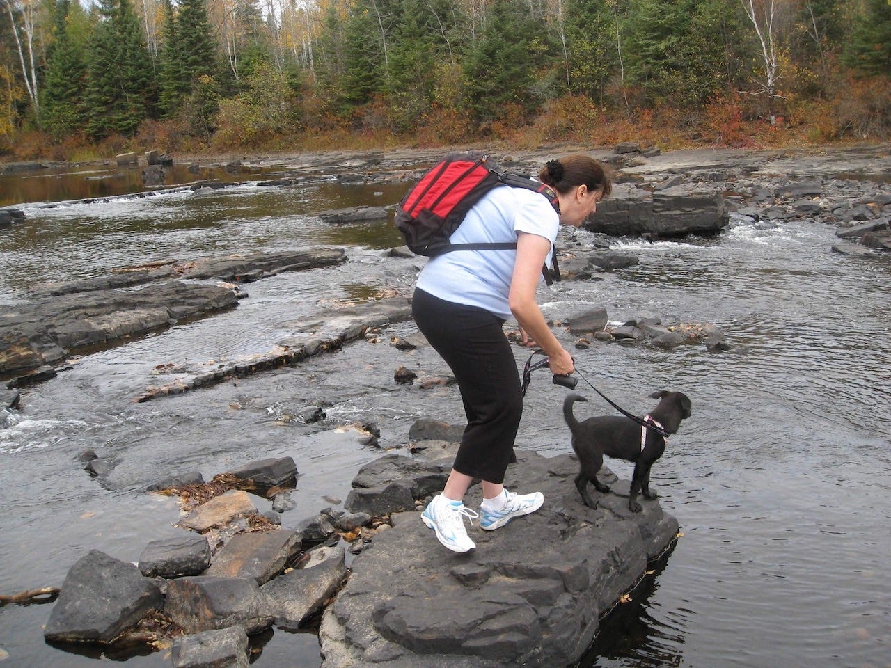 A woman and a leashed puppy standing on a rock in the middle of a river.