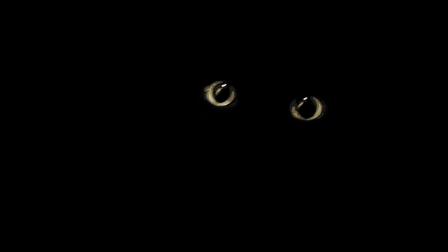 Two cat eyes staring out from darkness.
