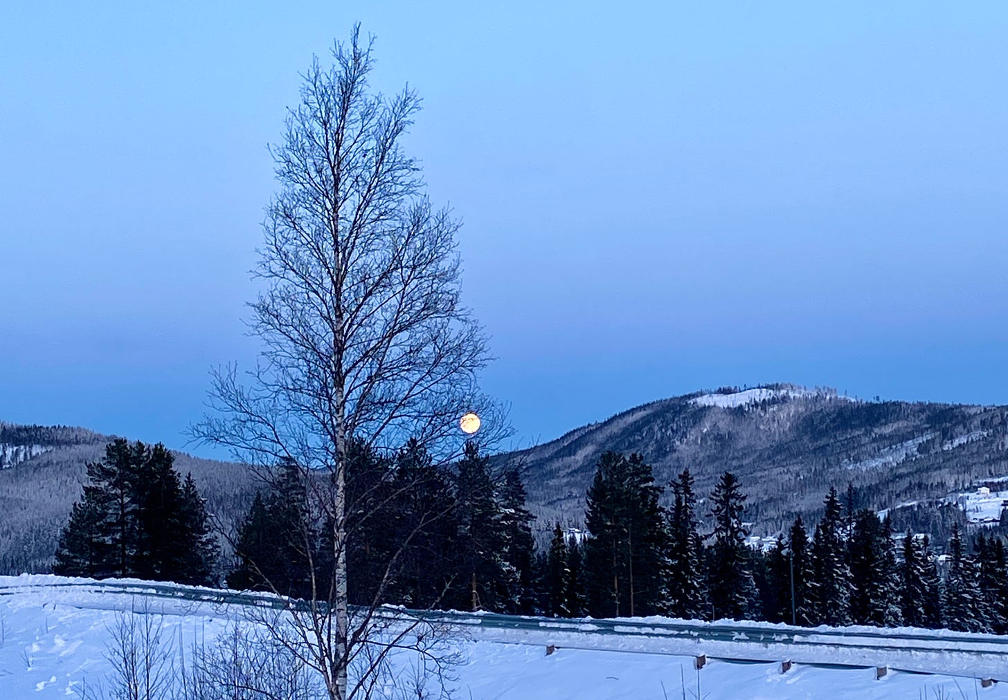 Caminho com neve, uma árvore alta seca, pinheiros enfileirados atrás, a montanha e a lua nascendo