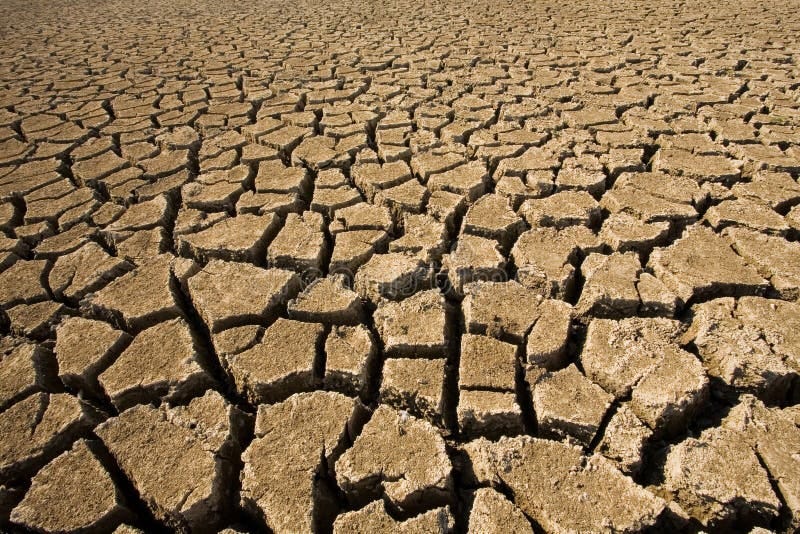 Dry soil surface. stock image. Image of field, environment - 25512275