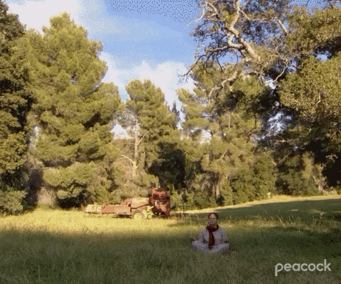 A gif of Dwight Schrute from The Office meditating in a field