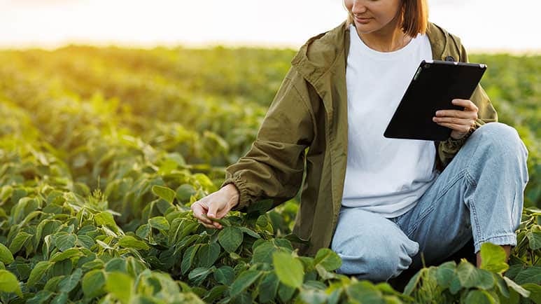 are neonics essential to all crops