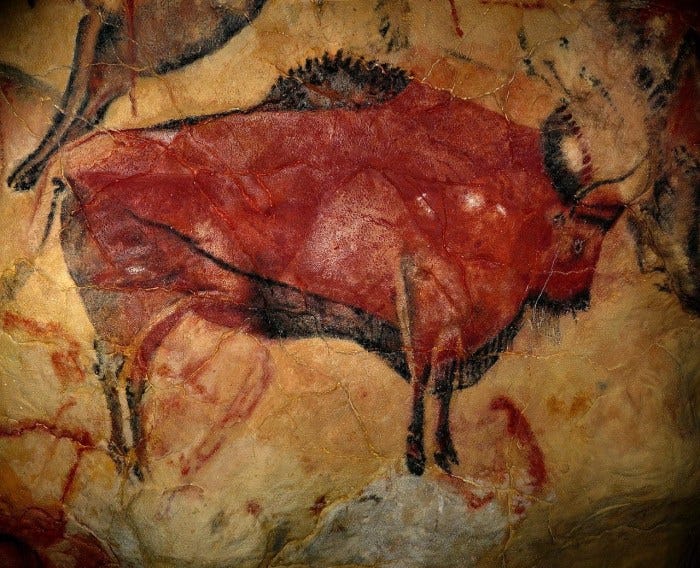 Bisonte dalla Grotta di Altamira, Cantabria, Spagna