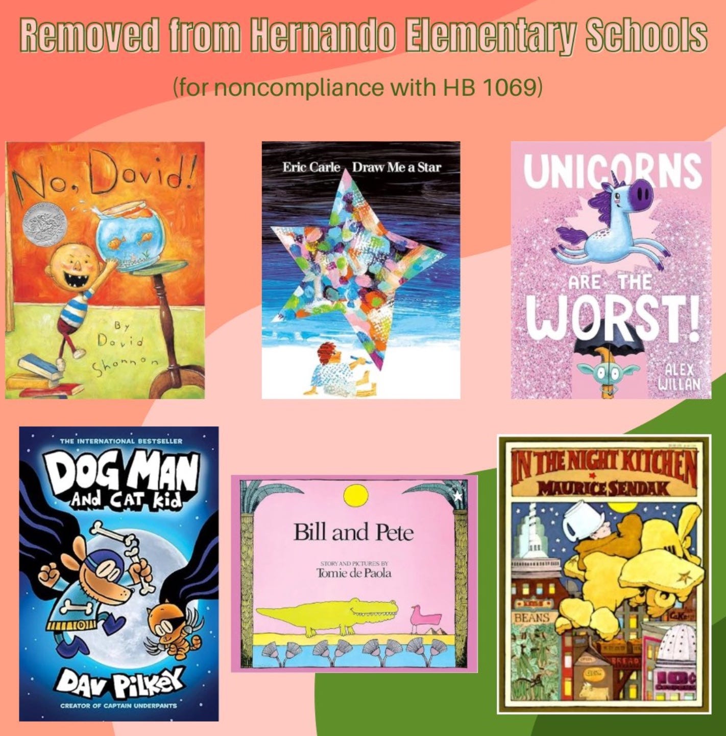 Image collage of books removed from hernando elementary