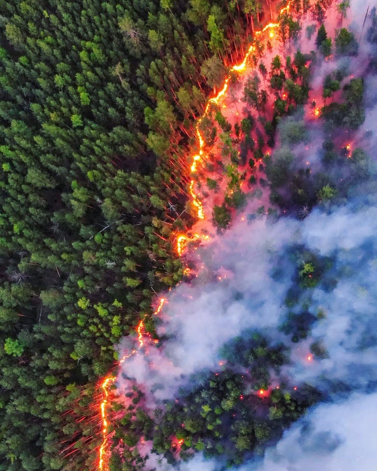Wildfire blazes in Krasnoyarsk, Russia