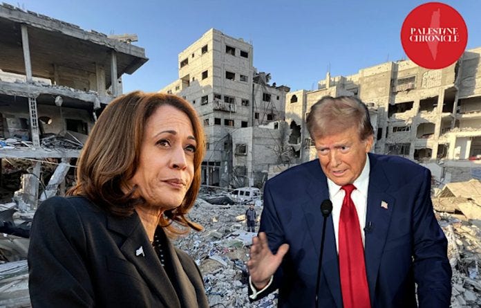 harris trump palestina