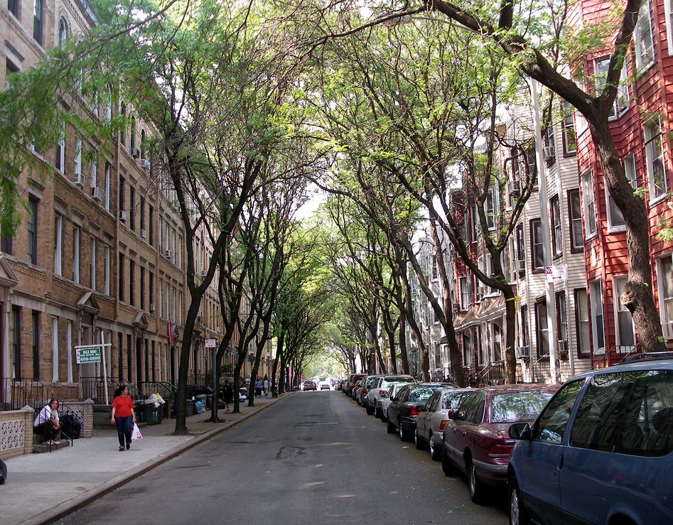 A Stroll Down Historic Guernsey Street - Greenpointers