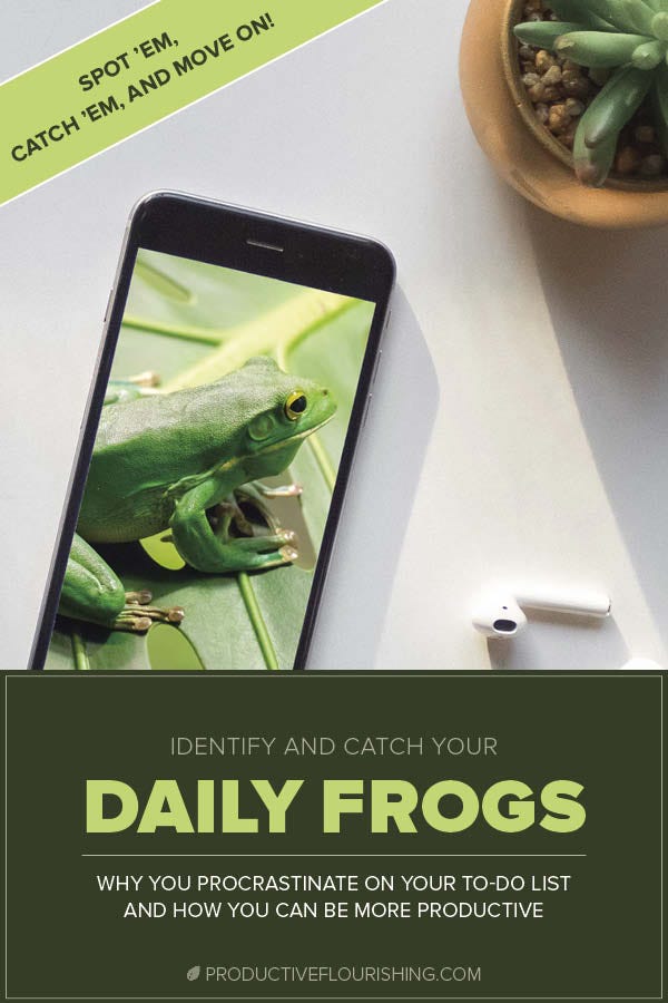 Frogs are those mini-tasks that you continue to put off day after day, which ultimately weigh you down mentally. The solution? A frog a day (at least!) to keep the dread away. Learn how to take small steps to balance your tasks and be more productive. https://productiveflourishing.com/a-frog-a-day-keeps-your-anchors-aweigh/ #productiveflourishing #procrastination #productivity #habits