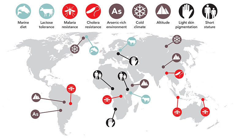 This Infographic Shows The Extraordinary Ancient Genes That Live on in  Modern Populations : ScienceAlert