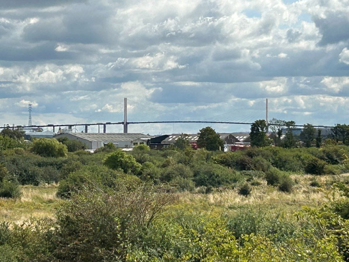 A landscape shot showing marshland in the foreground with some factories and a large suspension bridge in the background