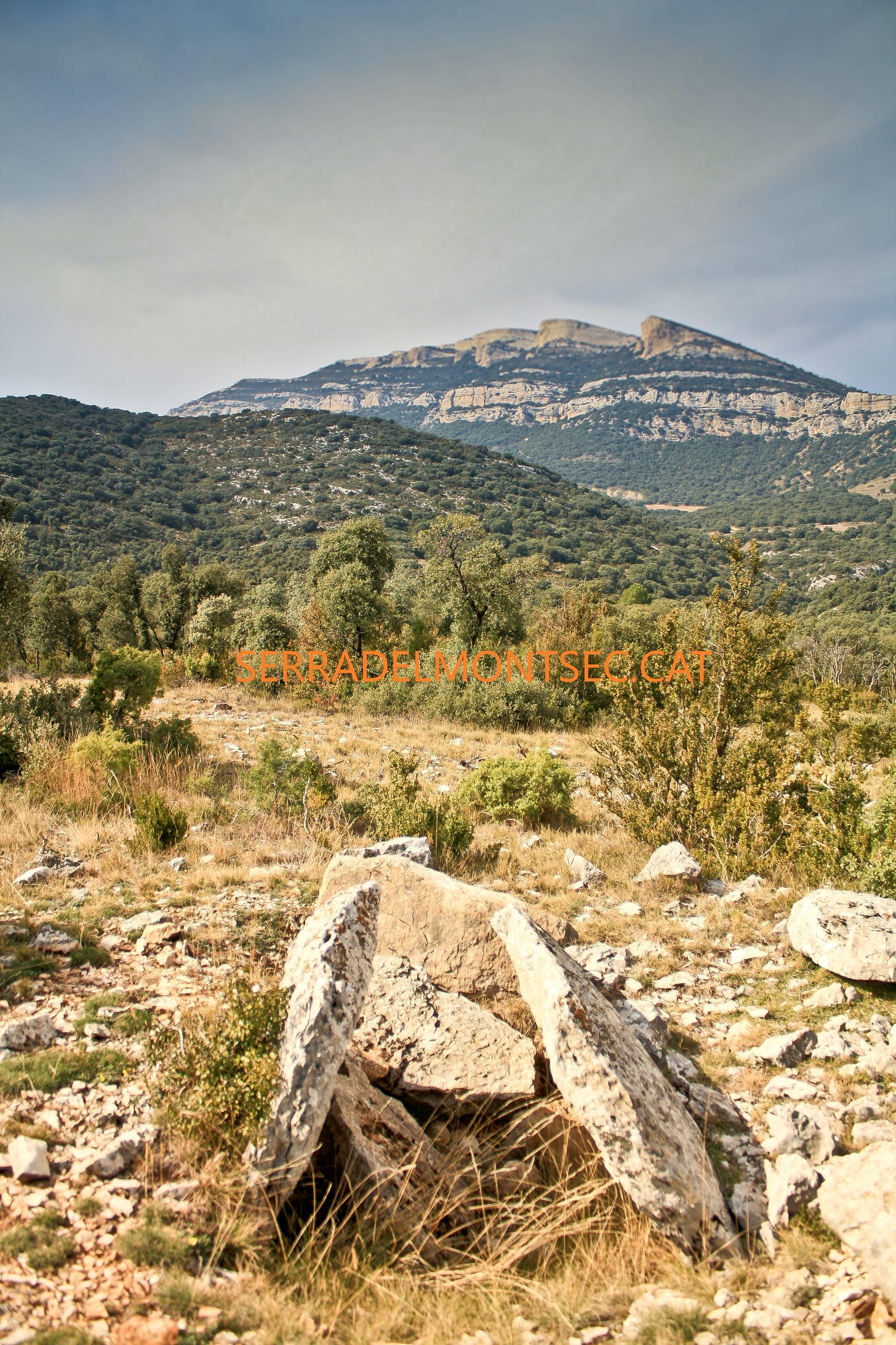 Dolmen de la Lloella del Llop II. Vilanova de Meià. Montsec de Rúbies (o de Meià). La Noguera, Lleida. Catalunya.