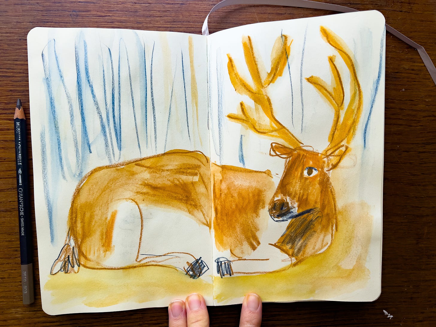drawing of an elk in a sketchbook