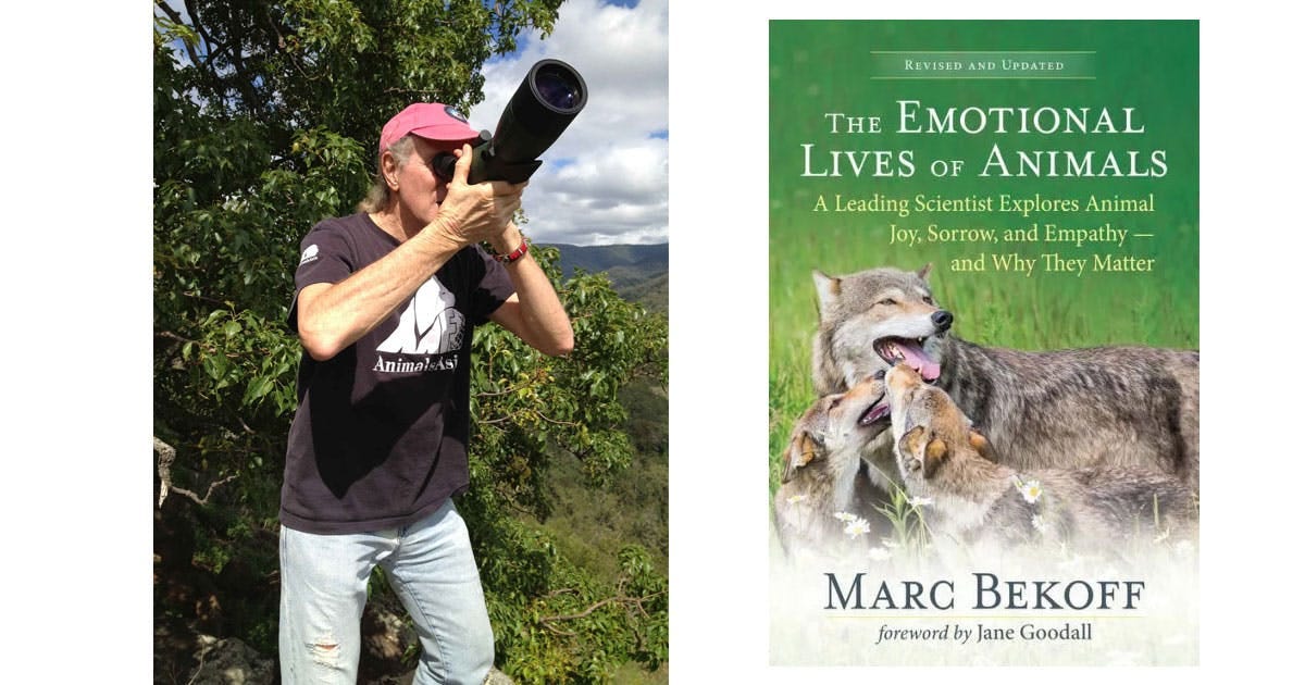 Marc Bekoff outside looking through his camera, and the cover of his book The Emotional Lives of Animals