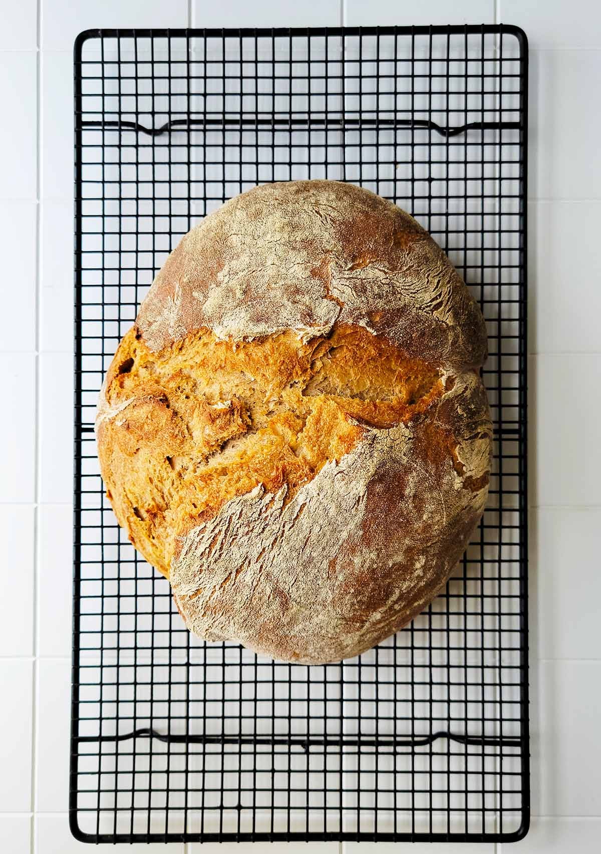 A loaf of rye ciabatta on a rack. 