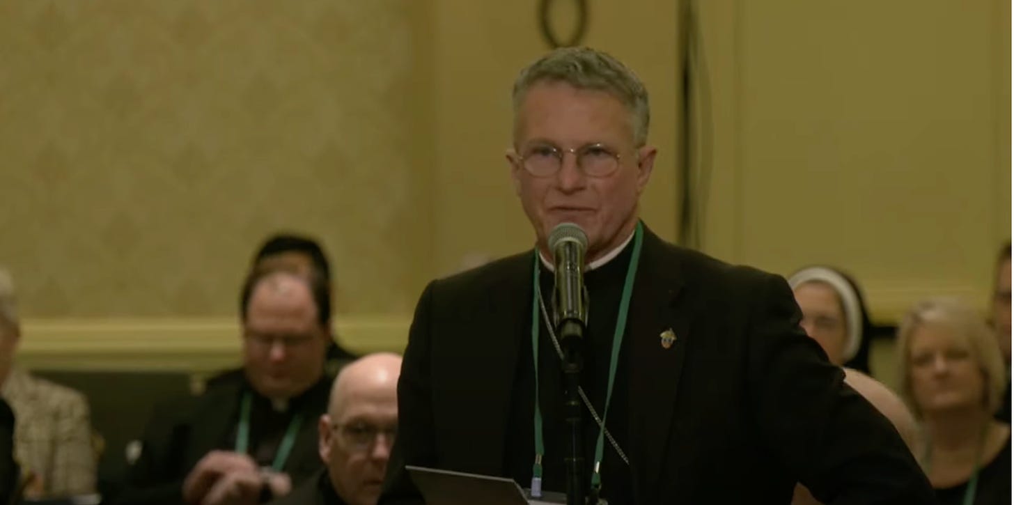 Updated: Election winners at the USCCB's 2022 fall meeting