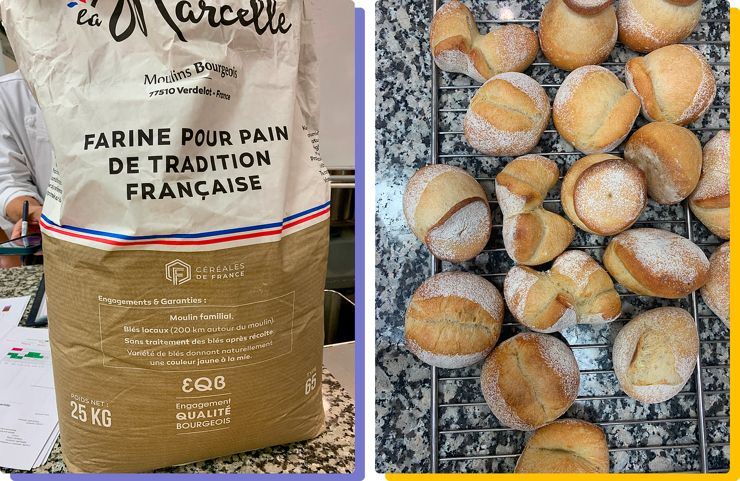 Photos of the French flour we used this week, plus the resulting dinner rolls