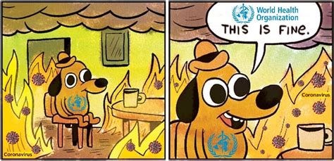 This is fine - World Health Organization : r/memes