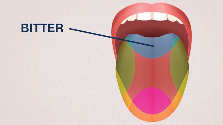 bitter taste receptors personalized medicine