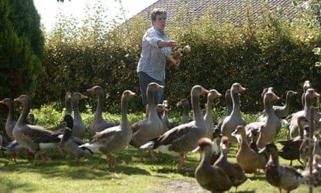 Dominique Douthe takes care of her ducks and geese in the French town of Soustons. A court will hear her neighbour’s noise complaint on Tuesday. 