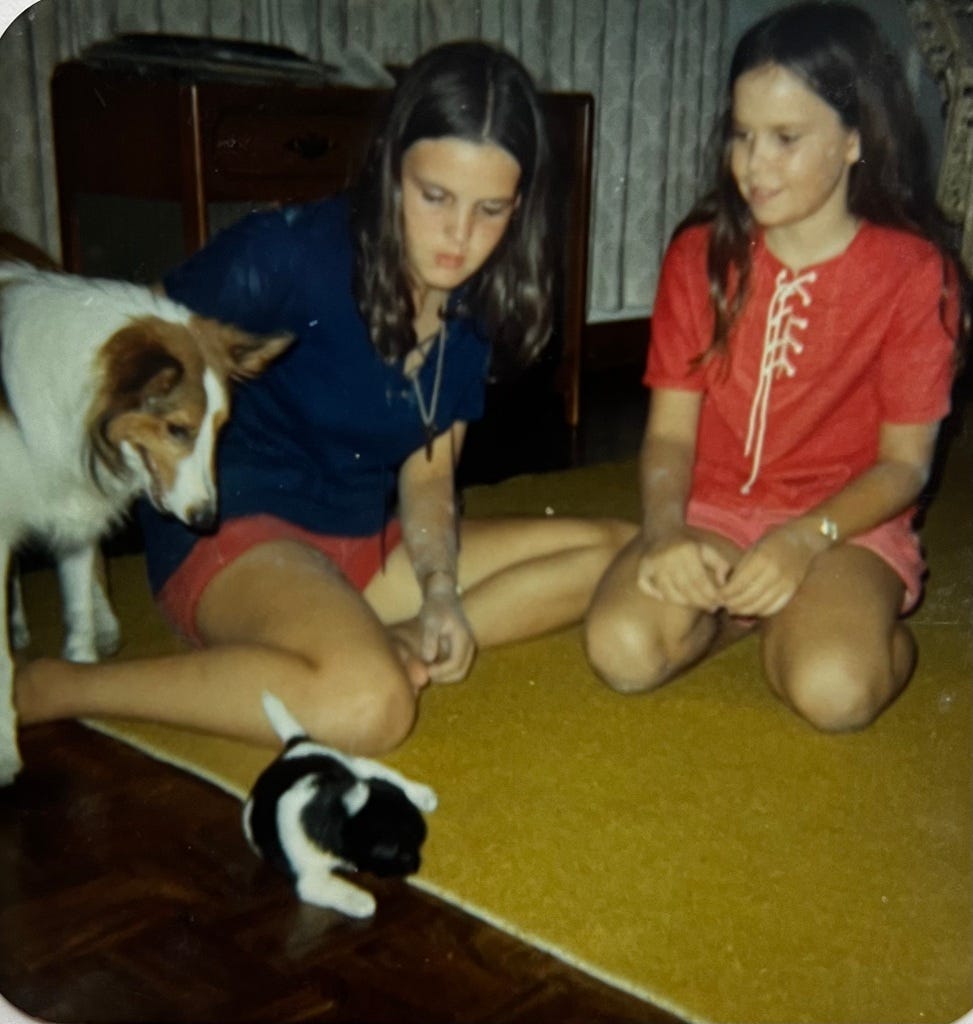 Two girls and a Shetland sheepdog watch a tiny black and white puppy on a yellow-carpeted parquet floor.