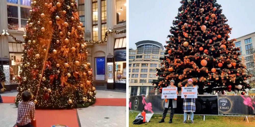 German climate activists defile Christmas trees in 7 cities