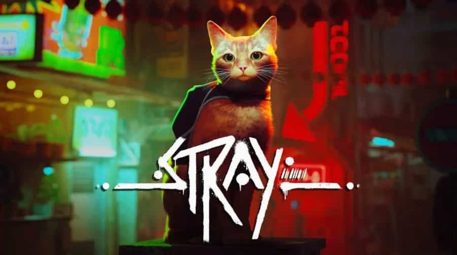 Stray: vale a pena?