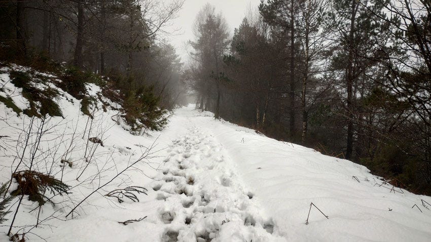 Huellas en la nieve, Camino Primitivo