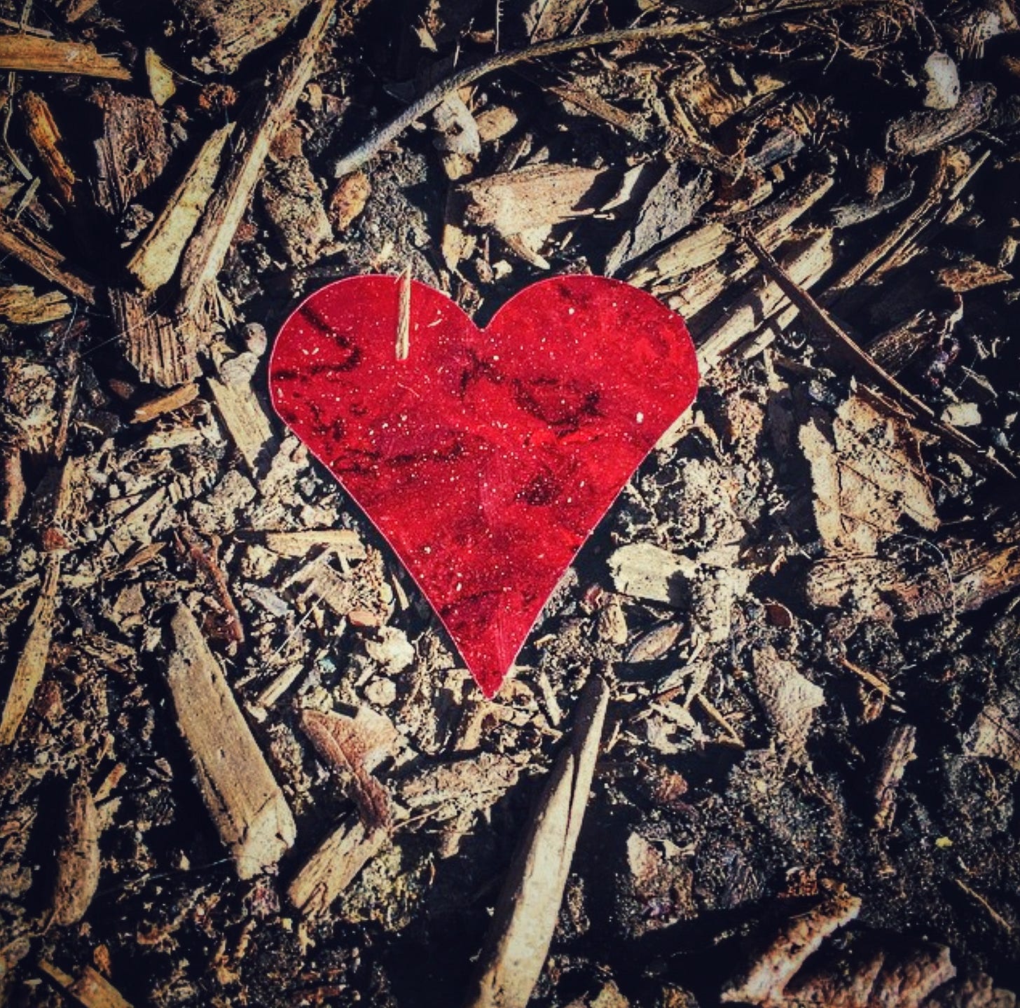 A photography taken by the author of a red foil heart laying on the ground amidst bark and mulch.