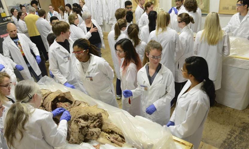 Hands-on: Cadaver lab experience benefits students