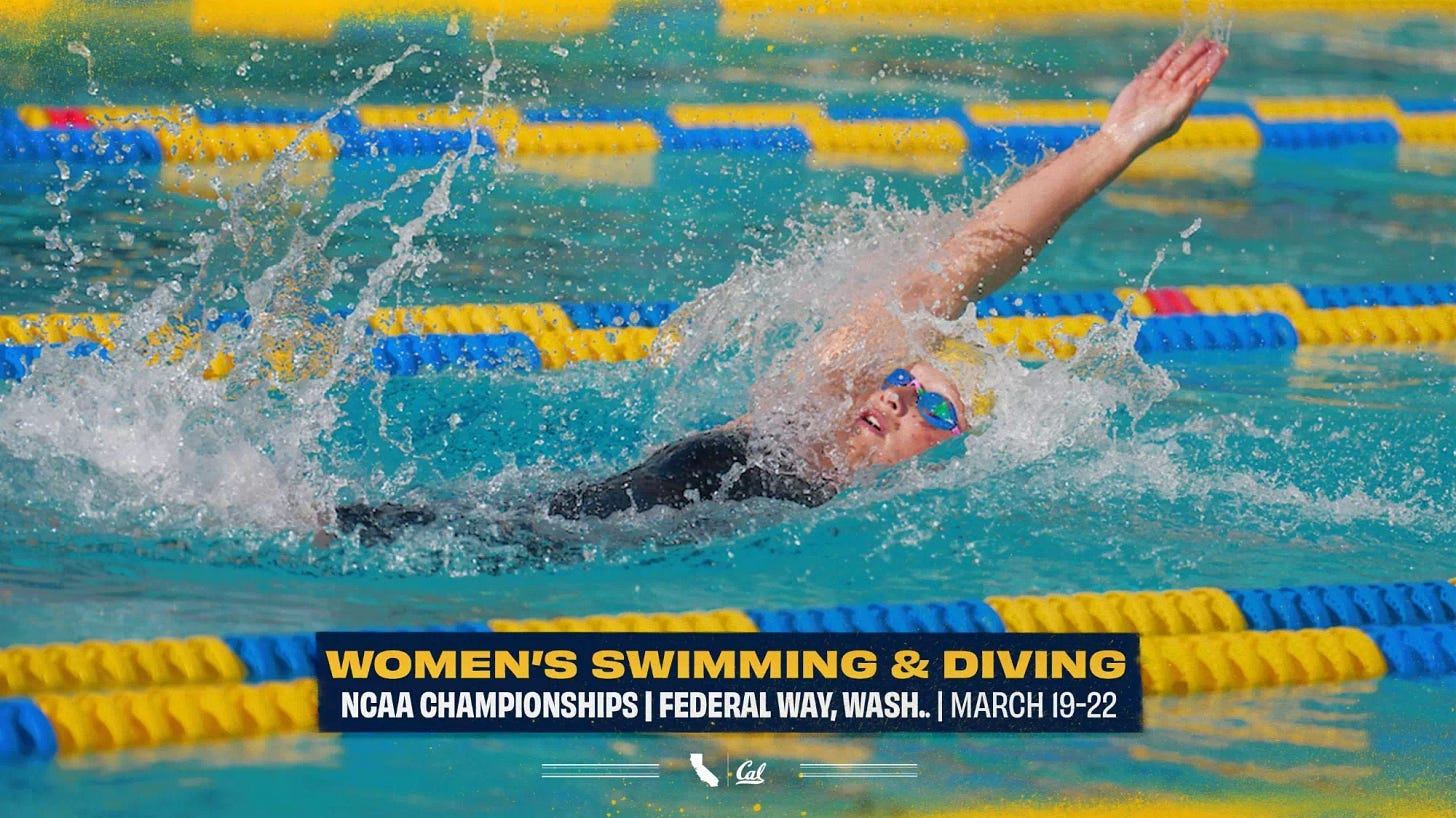 No. 9 Bears Look For Strong Showing At NCAA Championships