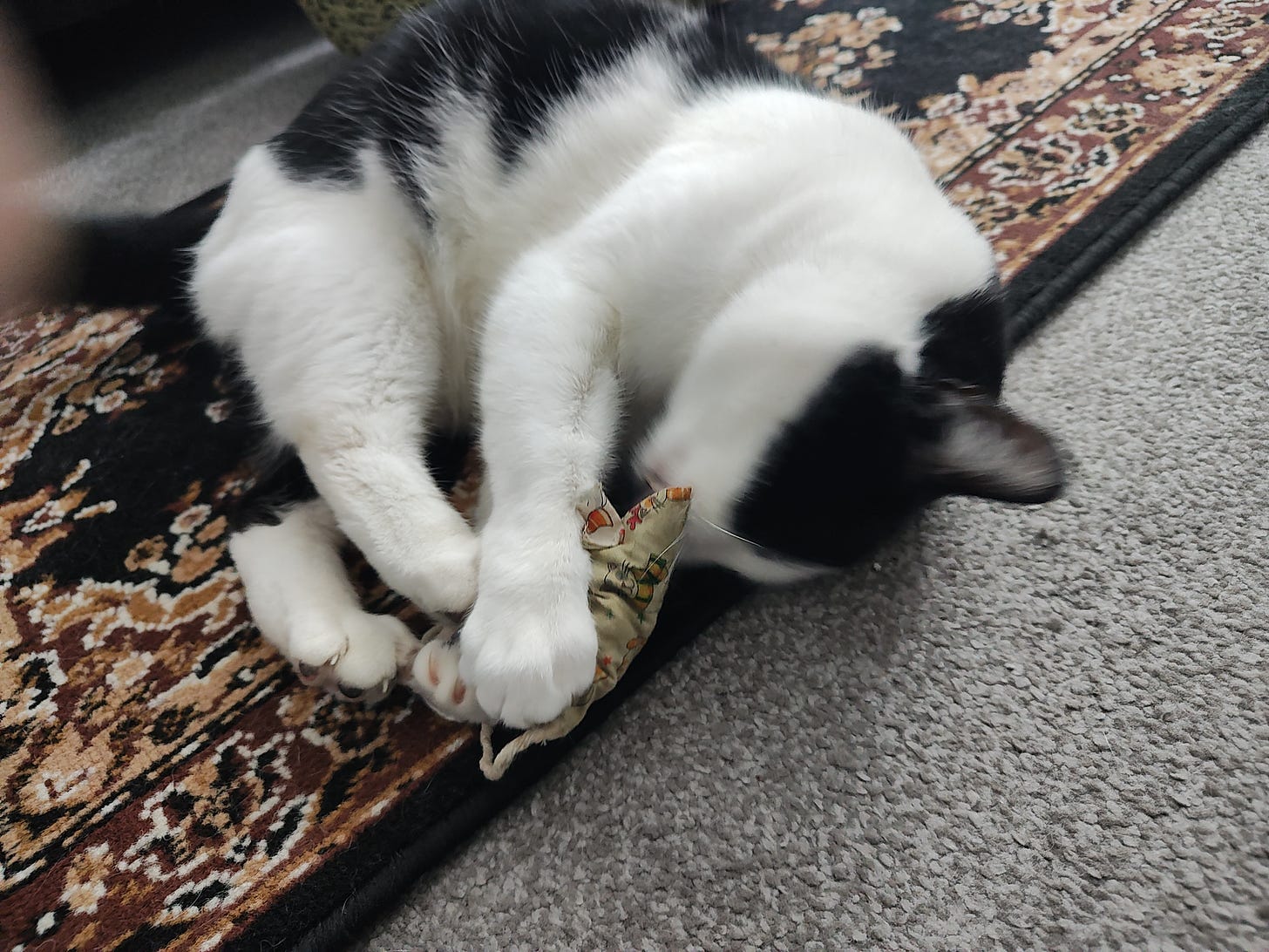 Blurry photo of a large black and white cat attacking a catnip mouse on a patterned rug.