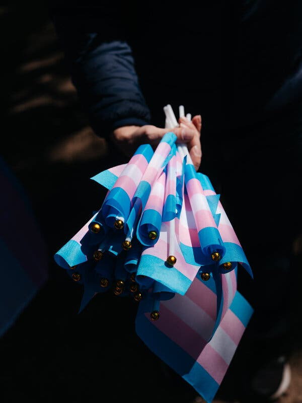 A hand holds a bundle of small flags that are striped blue, pink and white in support of transgender rights.