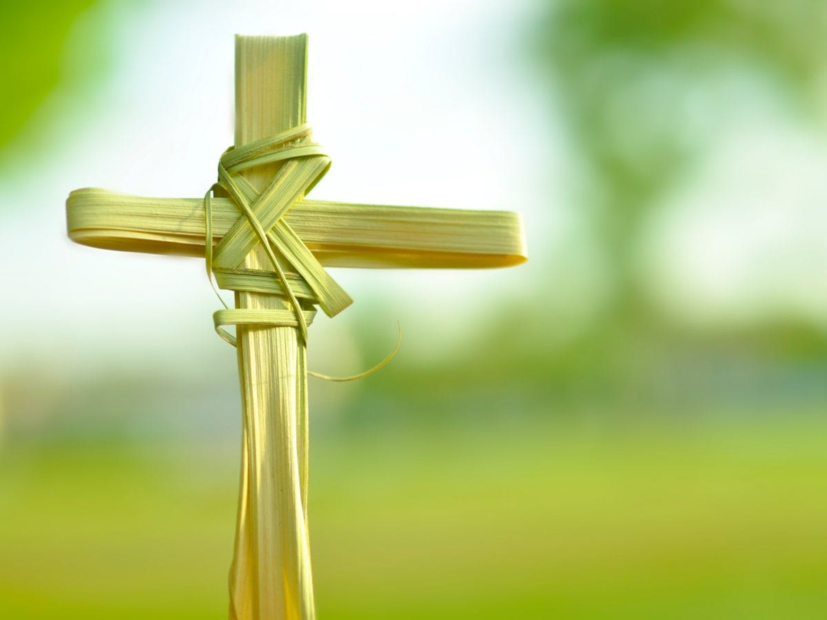 A Prayer for Palm Sunday Night by Rev. Dr. Rob Lee