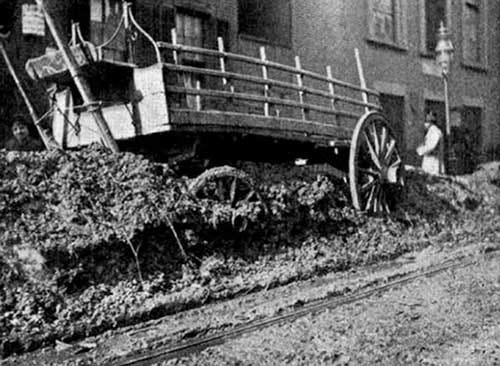 manure piled up on a new york city street