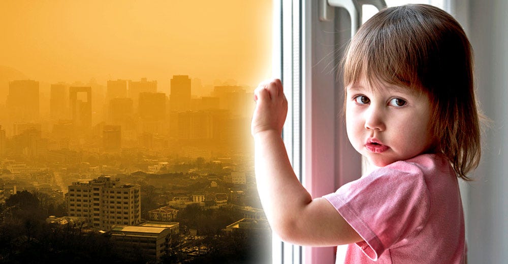 air pollution kids brains