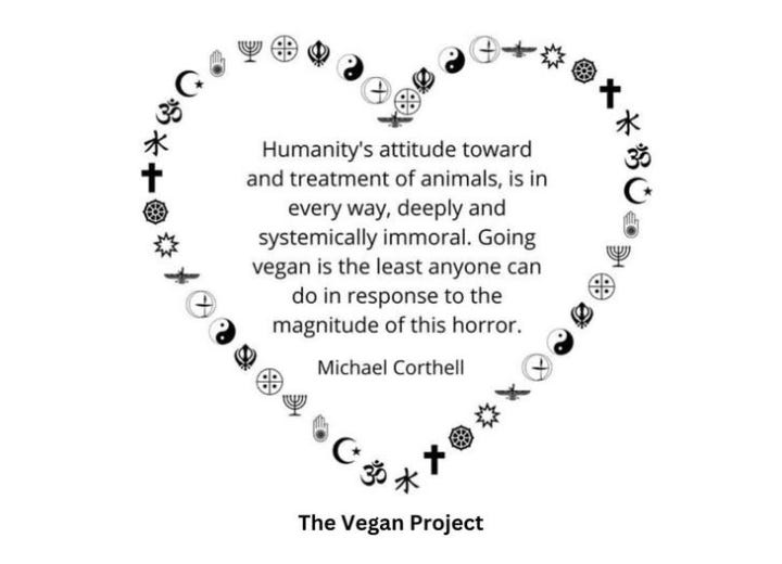 Compassion is universal. 🌍 Going vegan is the least we can do to stand against systemic harm and create a kinder world for all beings. 🌱💚