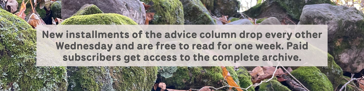 New installments of the advice column drop every other Wednesday and are free to read for one week. Paid subscribers get access to the complete archive.