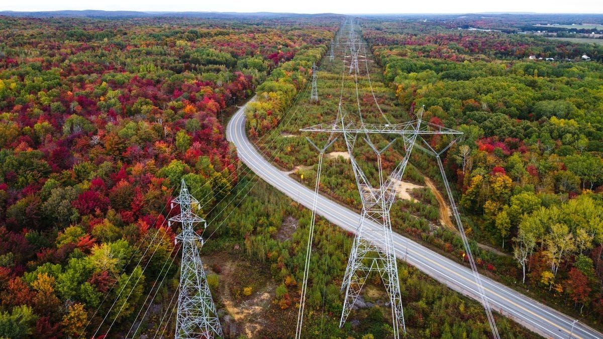 High-voltage towers in the forest.