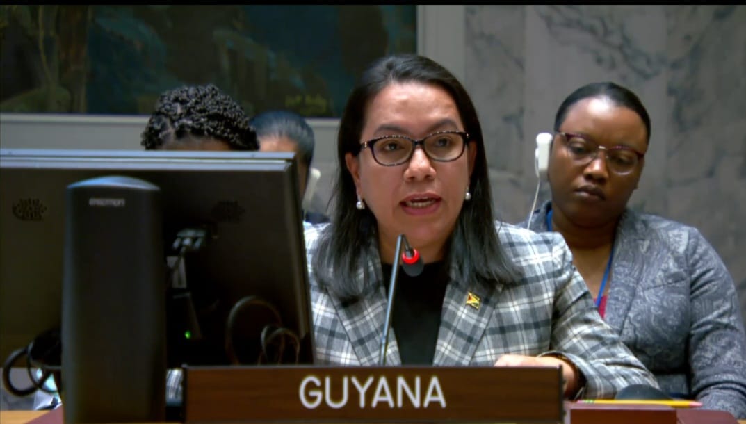 Ambassador Carolyn Rodrigues-Birkett, Guyana's Permanent Representative to  the United Nations | Ministry of Foreign Affairs