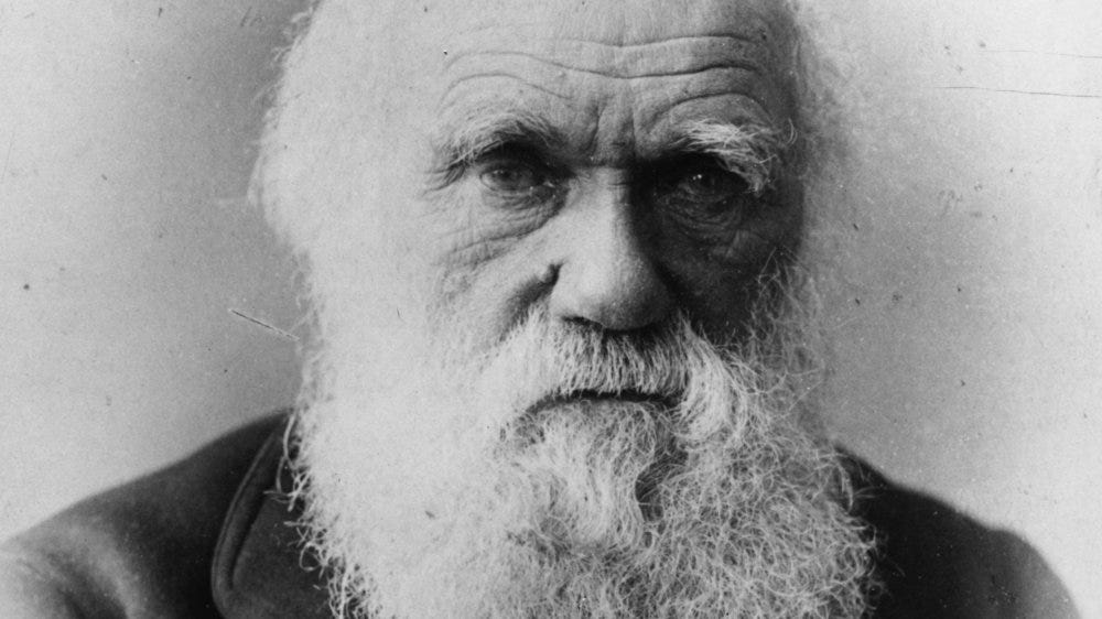 The Tragic Life Of Charles Darwin