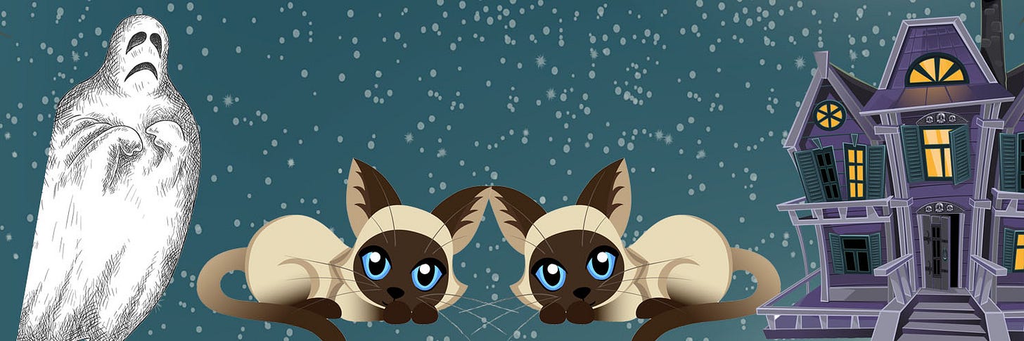 An image of a ghost, two cartoon Siamese cats and a haunted house to demonstrate the upcoming The Ghost in My Hotel.