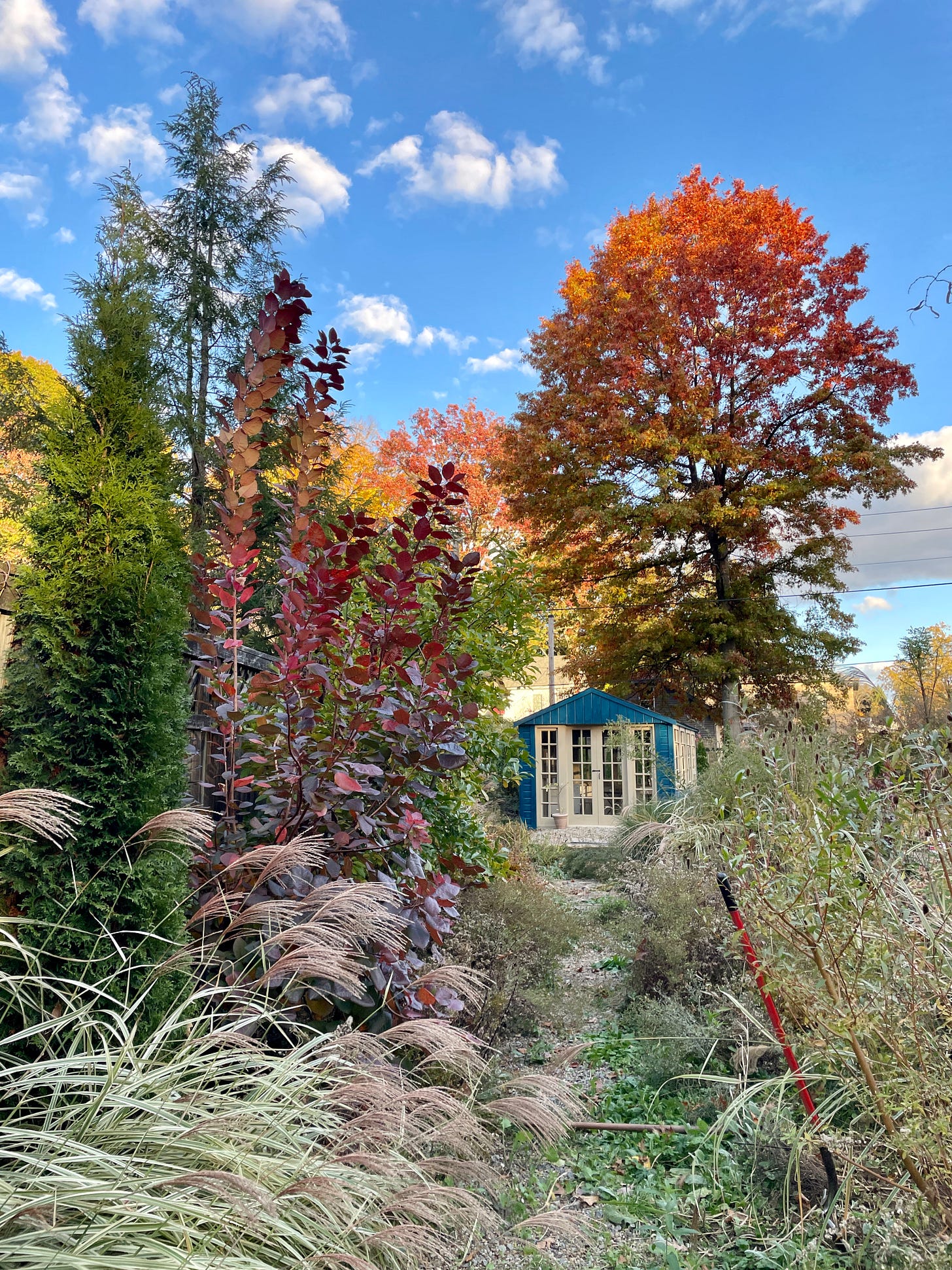 The Long Border looking down to the Potting Shed this October.